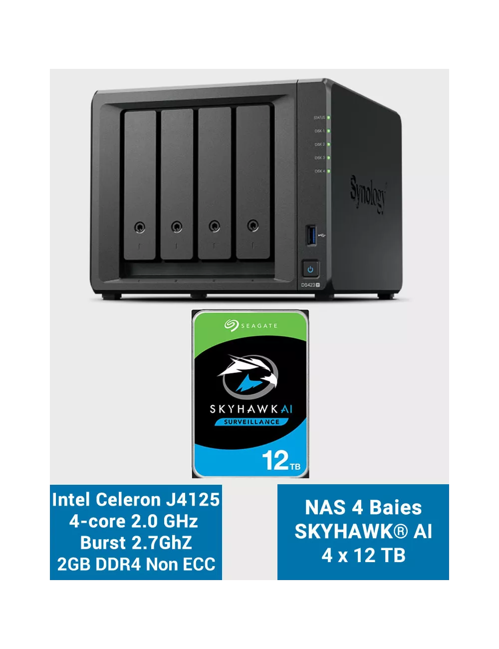 Synology DS423+ 2Go Serveur NAS SKYHAWK 48To (4x12To)