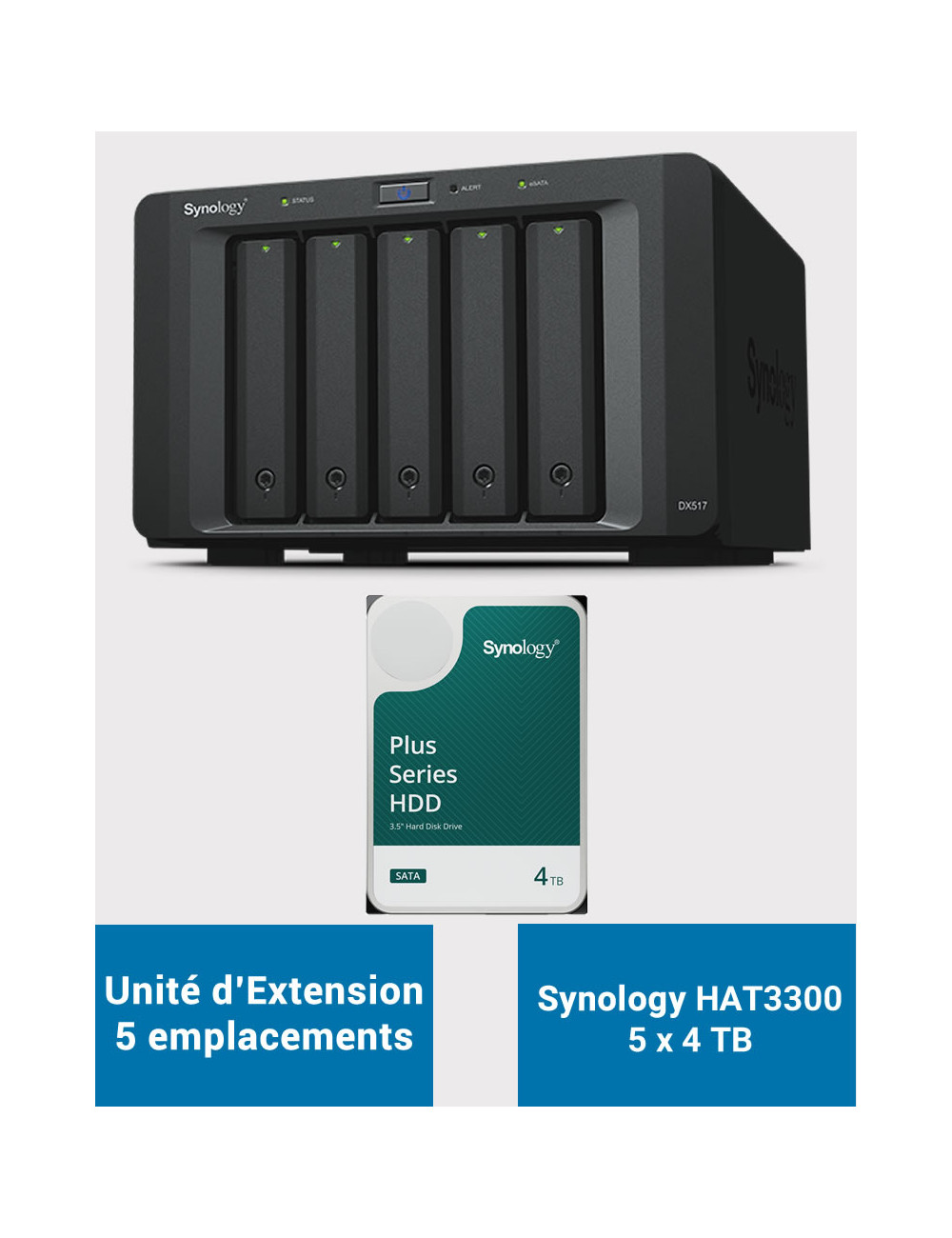 Synology DX517 Unité d'extension HAT3300 20To (5x4To)