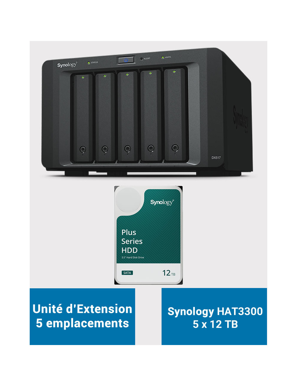 Synology DX517 Unité d'extension HAT3300 60To (5x12To)
