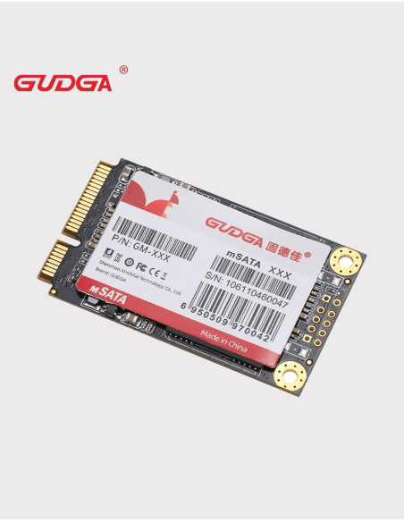 GUDGA Unidad de estado sólido interna MSATA 64GB