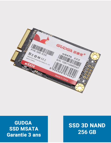 GUDGA Internal Solid State Drive MSATA 256GB
