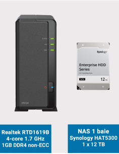 Synology DiskStation DS124 NAS Server HAT5300 12TB (1x12TB)