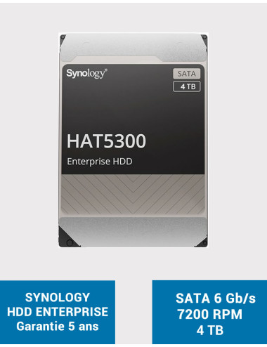 SYNOLOGY Disque HDD HAT5300 4To