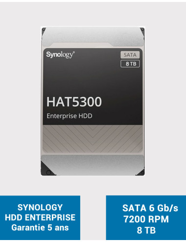 SYNOLOGY Disque HDD HAT5300 8To
