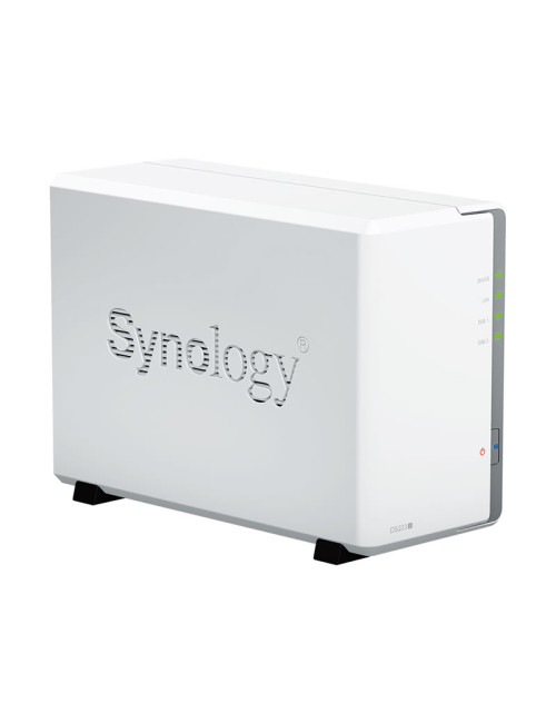 Synology DS220J Serveur NAS IRONWOLF PRO 12To (2x6To)