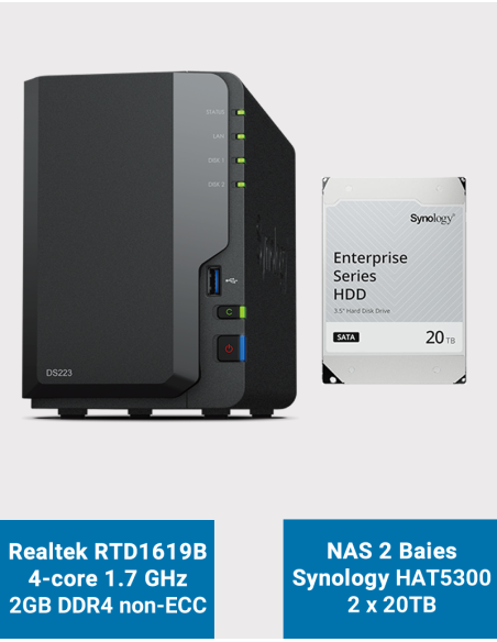 Synology DS223 NAS Server HAT5310 40TB (2x20TB)
