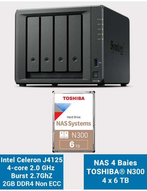Synology DS423+ 2GB NAS Server Toshiba N300 24TB (4x6TB)