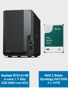 Synology DS223 Serveur NAS HAT3300 24To (2x12To)