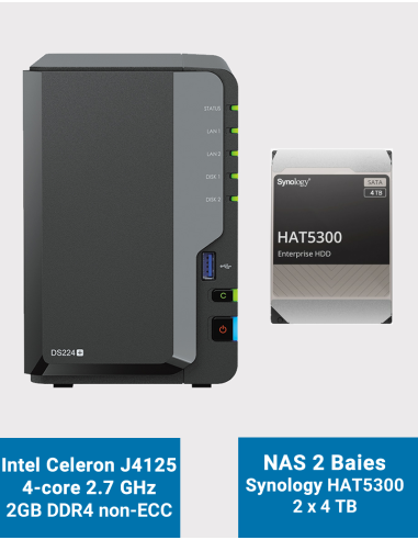 Synology DS220+ 6Go Serveur NAS SKYHAWK 4To (2x2To) Synology DS220+ 6Go Serveur NAS SKYHAWK 4To (2x2To)
