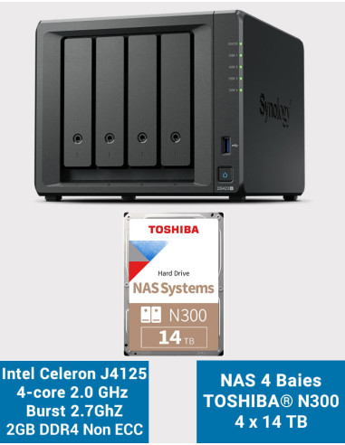 Synology DS423+ 2Go Serveur NAS Toshiba N300 56To (4x14To)