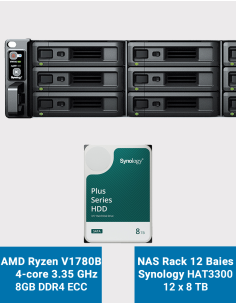 Synology RS2423+ Serveur NAS Rack 2U 12 baies HAT3300 96To (12x8To)