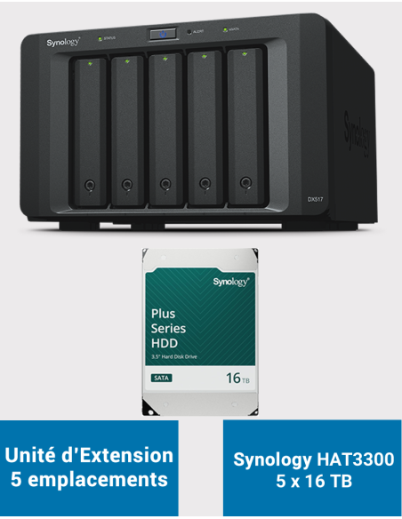 Synology DX517 Unité d'extension HAT3300 80To (5x16To)