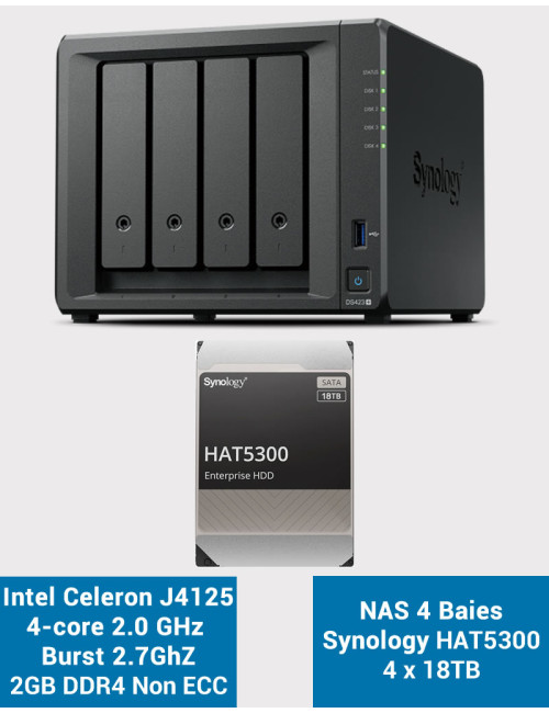 Synology DS423+ 2GB NAS Server HAT5300 72TB (4x18TB)