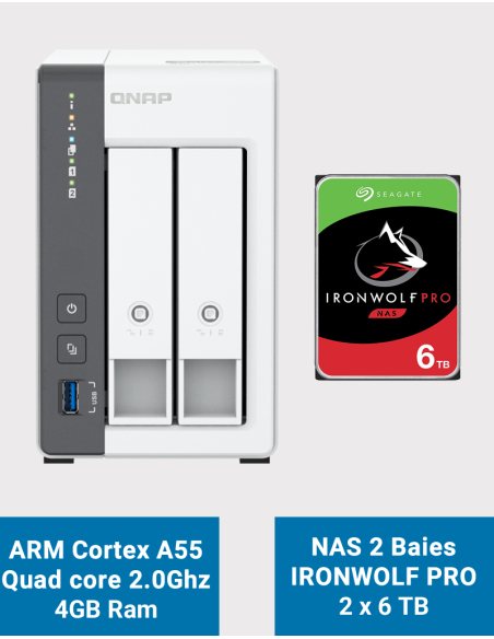 Qnap TS-216G Serveur NAS Seagate IronWolf Pro 12To (2x6To)