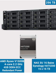 Synology RS2821RP+ Servidor NAS Rack 3U 16 bahías HAT5300 256To (16x16To)