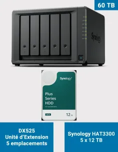 Synology DX525 – 5× HAT3300 12 TB (60 TB) – 5-Bay Expansion Unit