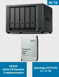 Synology DX525 – 5× HAT5300 12 TB (60 TB) – 5-Bay Expansion Unit