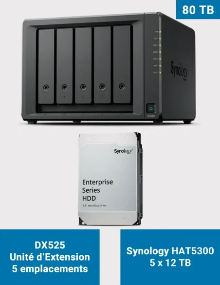 Synology DX525 – 5× HAT5300 12 TB (60 TB) – 5-Bay Expansion Unit
