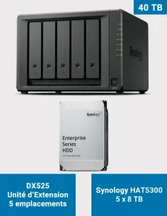 Synology DX525 – 5× HAT5300 4 TB (20 TB) – 5-Bay Expansion Unit