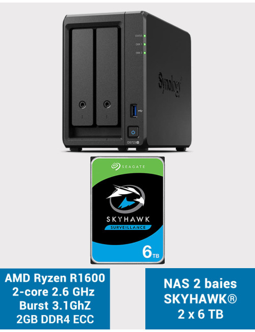 Synology DS723+ Serveur NAS SKYHAWK 12To (2x6To)