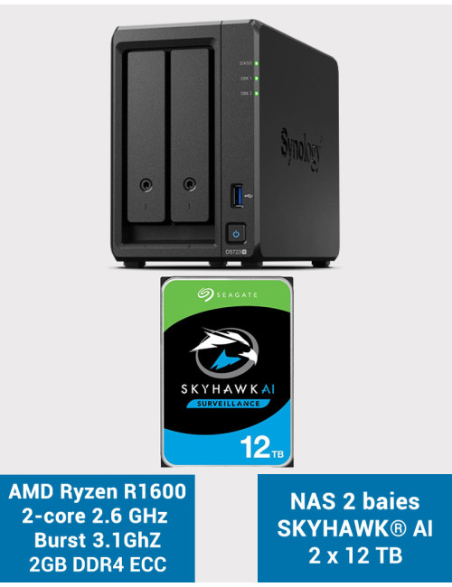 Synology DS723+ NAS Server SKYHAWK 24TB (2x12TB)