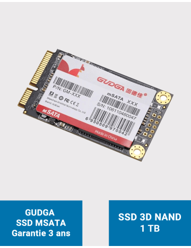 GUDGA Disque SSD interne MSATA 1TB