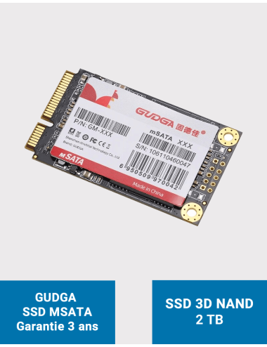 GUDGA Disque SSD interne MSATA 2TB