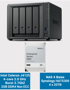 Synology DS423+ 2GB Servidor NAS HAT5300 80TB (4x20TB)