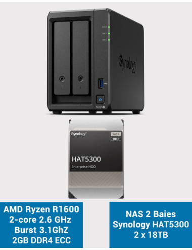 Synology DS218PLAY NAS Server WD BLUE 12TB