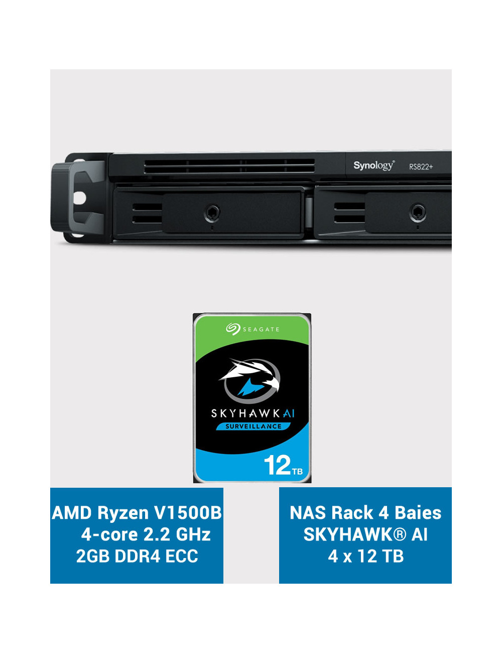 Synology RS822+ 2GB NAS Server Rack 1U SKYHAWK 48TB (4x12TB)