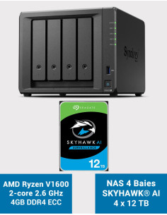 Synology DS923+ 4GB Serveur NAS SKYHAWK 48To (4x12To)