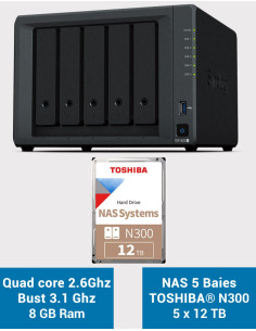 Synology DiskStation® DS1522+ Serveur NAS Toshiba N300 60To (5x12To)
