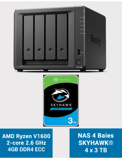 Synology DS923+ 4GB NAS Server SKYHAWK 12TB (4x3TB)