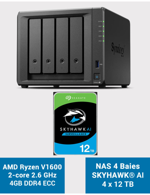 Synology DS923+ 4GB NAS Server SKYHAWK 48TB (4x12TB)
