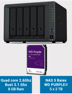 Synology DiskStation® DS1522+ Serveur NAS WD PURPLE 10To (5x2To)