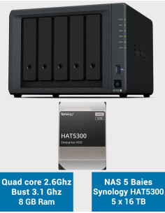 Synology DiskStation® DS1522+ NAS Server HAT5300 80TB (5x16TB)