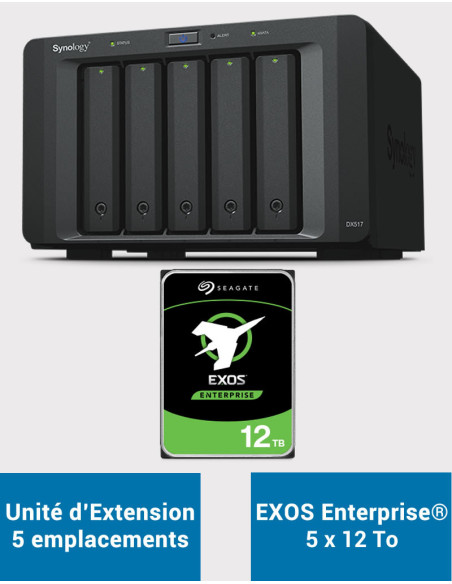 Synology DX517 Unité d'extension EXOS Enterprise 60To (5x12To)