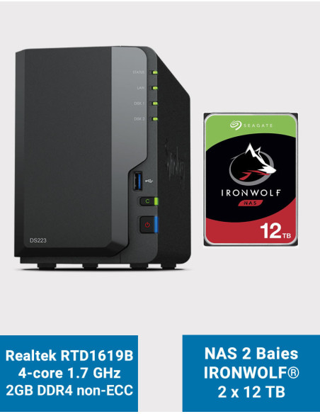 Synology DS223 Servidor NAS IronWolf 24TB (2x12TB)