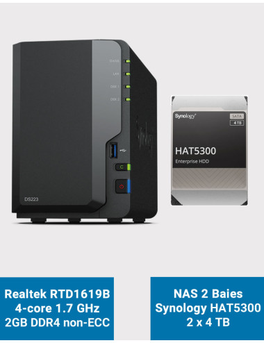 Synology DS223 Serveur NAS HAT5300 8To (2x4To)
