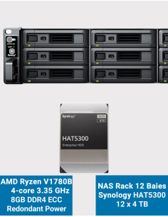 Synology RS2423RP+ NAS Server Rack 2U 12-Bay HAT5300 48TB (12x4TB)