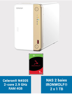 QNAP TS-262 4GB NAS Server IRONWOLF 2TB (2x1TB)