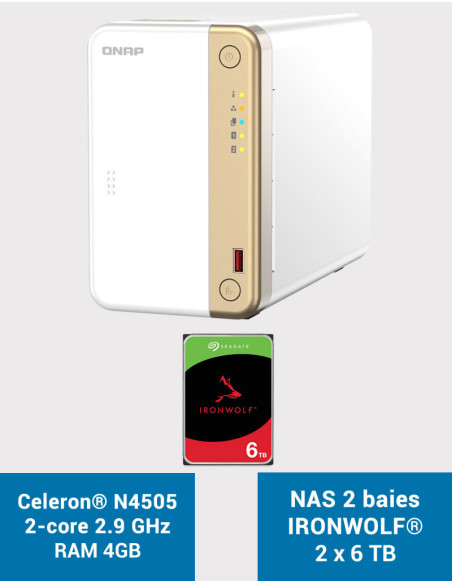 QNAP TS-262 4GB Servidor NAS IRONWOLF 12TB (2x6TB)