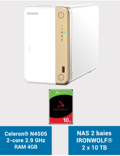 QNAP TS-262 4GB Serveur NAS IRONWOLF 20To (2x10To)