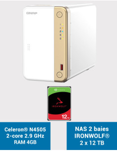QNAP TS-262 4GB Servidor NAS IRONWOLF 24TB (2x12TB)