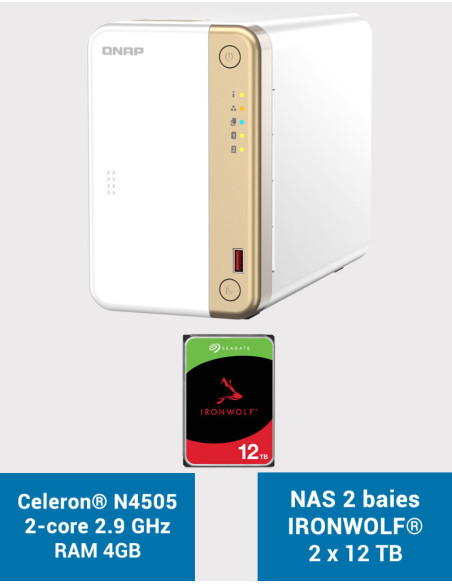 QNAP TS-262 4GB NAS Server IRONWOLF 24TB (2x12TB)