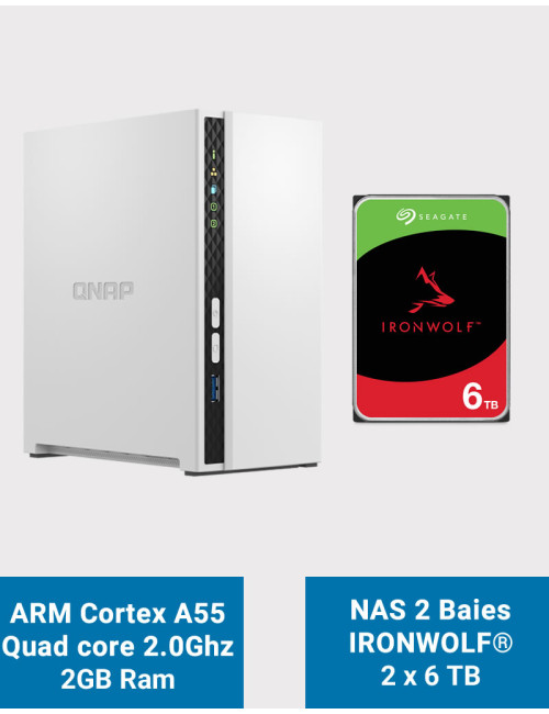 QNAP TS-233 Serveur NAS Seagate IronWolf 12To (2x6To)