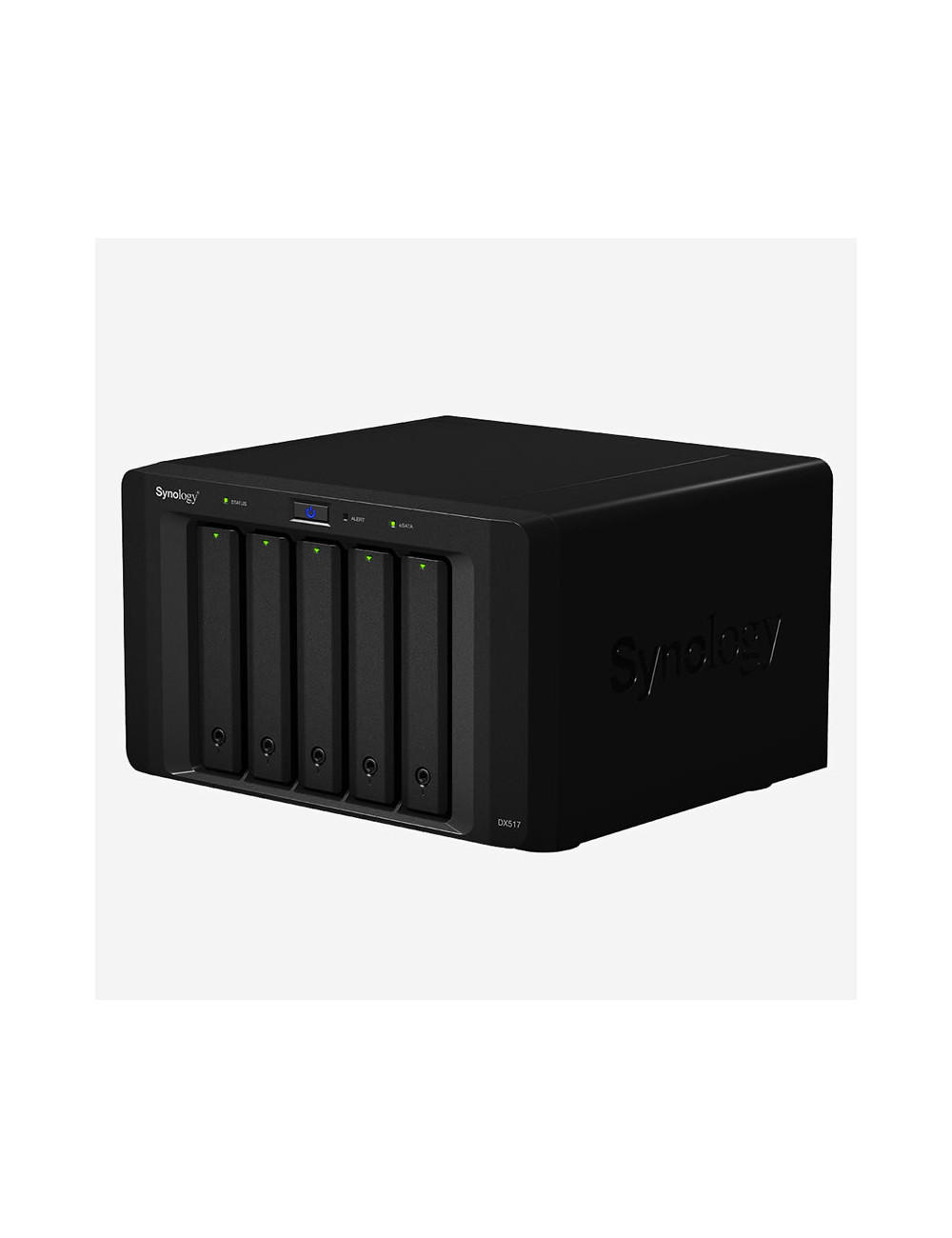 Synology RS819 Serveur NAS WD RED 4To (4x1To)
