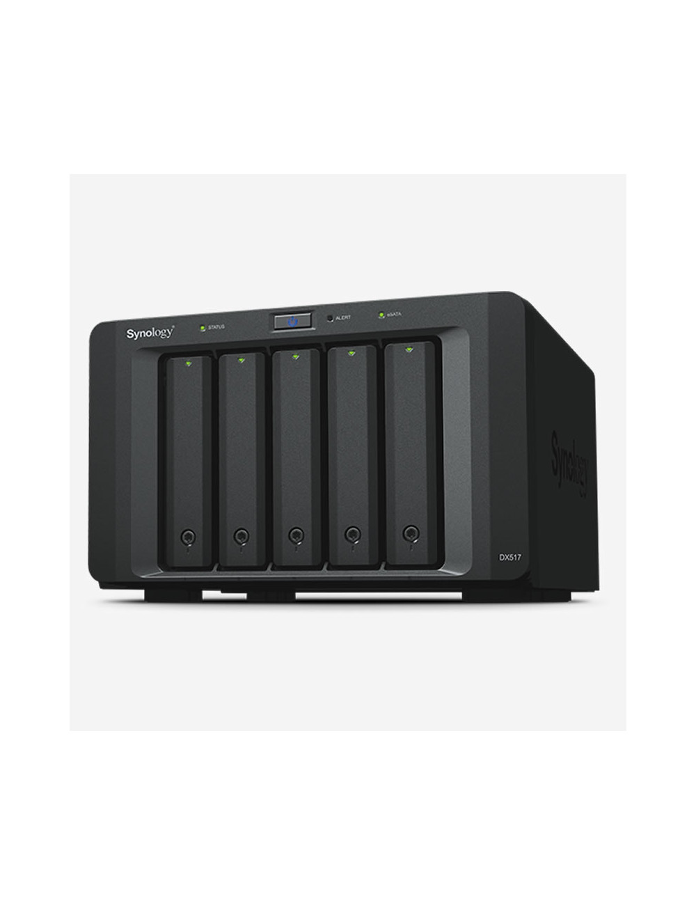 Synology RS819 Serveur NAS WD RED 16To (4x4To)