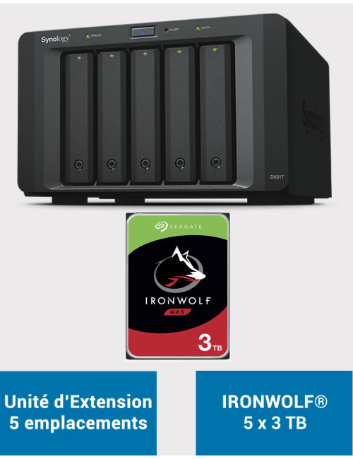 Synology RS819 Serveur NAS IRONWOLF 32To (4x8To)