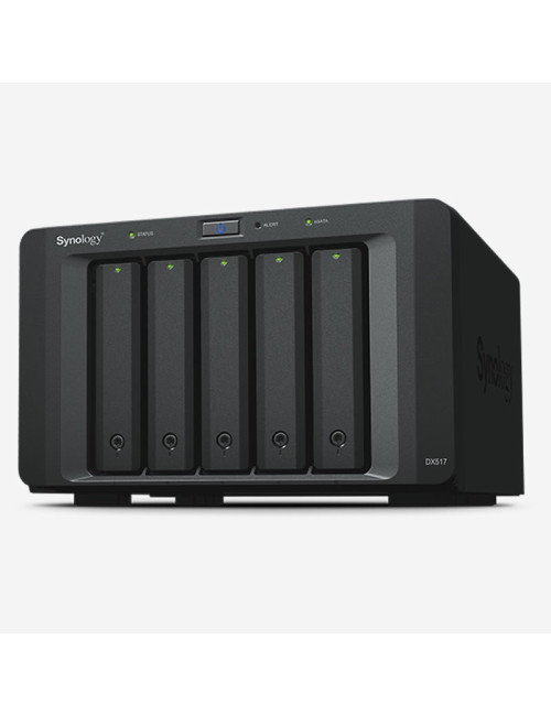 Synology RS819 Serveur NAS IRONWOLF 48To (4x12To)